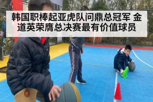韩国职棒起亚虎队问鼎总冠军 金道英荣膺总决赛最有价值球员